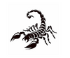 Dark Scorpion